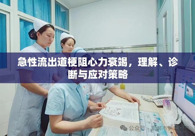 急性流出道梗阻心力衰竭，理解、診斷與應(yīng)對(duì)策略