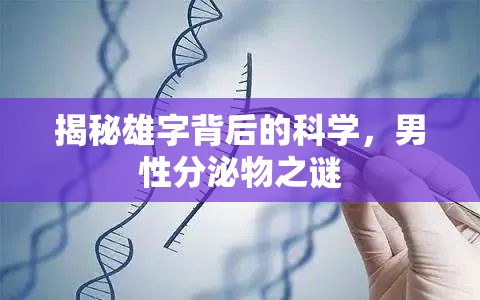 揭秘雄字背后的科學，男性分泌物之謎