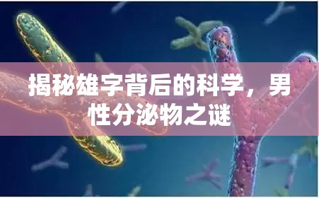 揭秘雄字背后的科學，男性分泌物之謎