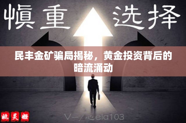 民豐金礦騙局揭秘，黃金投資背后的暗流涌動