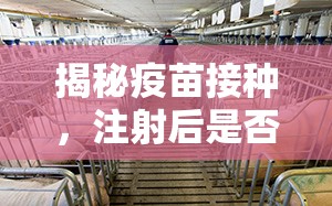 揭秘疫苗接種，注射后是否會流出來？