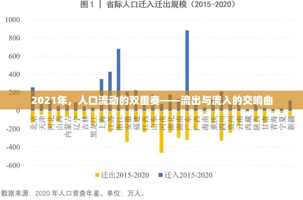 2021年，人口流動的雙重奏——流出與流入的交響曲