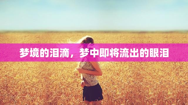 夢境的淚滴，夢中即將流出的眼淚