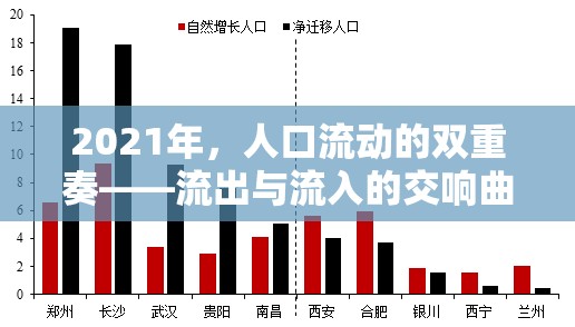 2021年，人口流動的雙重奏——流出與流入的交響曲
