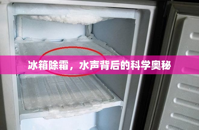 冰箱除霜，水聲背后的科學(xué)奧秘