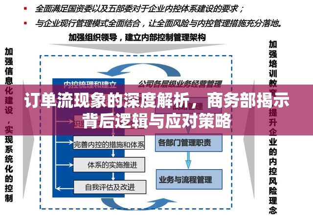 訂單流現(xiàn)象的深度解析，商務(wù)部揭示背后邏輯與應(yīng)對(duì)策略