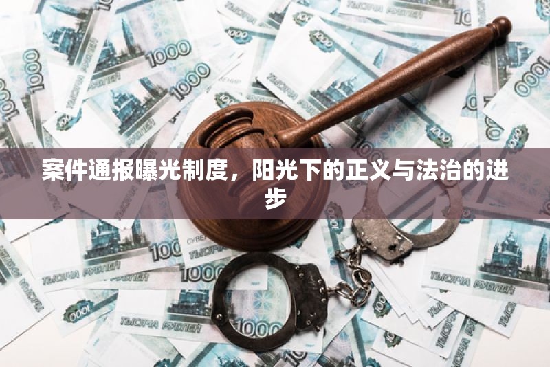 案件通報曝光制度，陽光下的正義與法治的進步