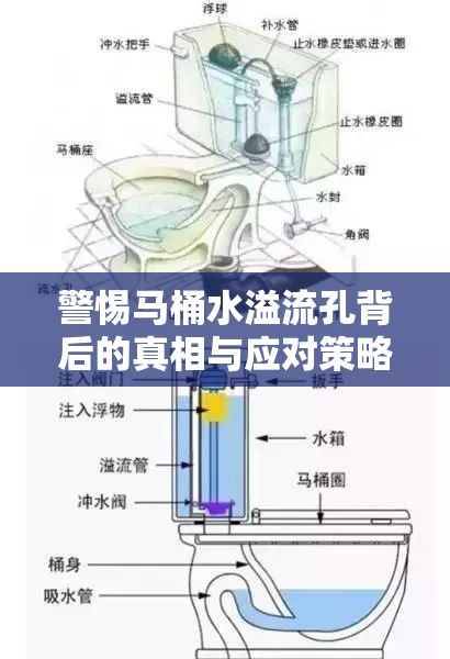 警惕馬桶水溢流孔背后的真相與應(yīng)對策略