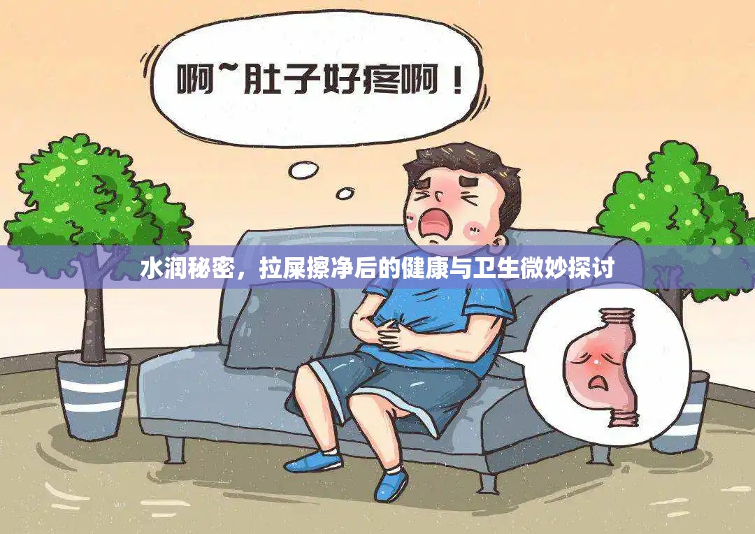 水潤秘密，拉屎擦凈后的健康與衛(wèi)生微妙探討