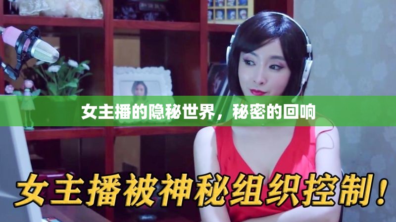 女主播的隱秘世界，秘密的回響