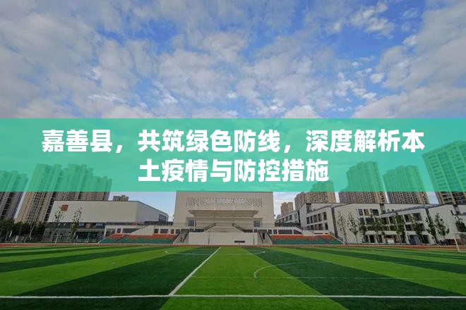 嘉善縣，共筑綠色防線，深度解析本土疫情與防控措施