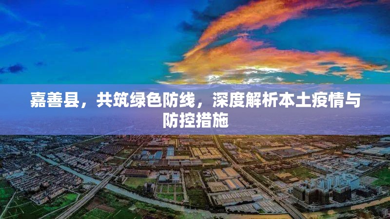 嘉善縣，共筑綠色防線，深度解析本土疫情與防控措施