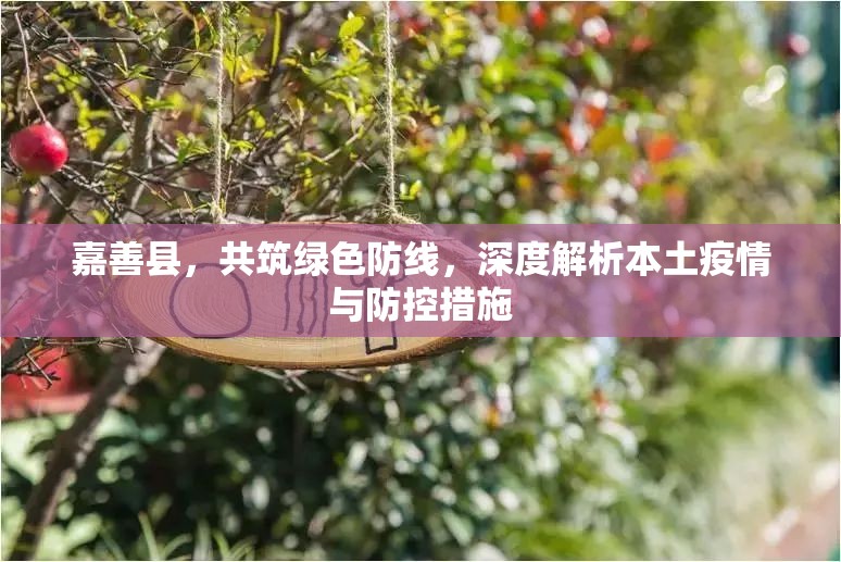 嘉善縣，共筑綠色防線，深度解析本土疫情與防控措施