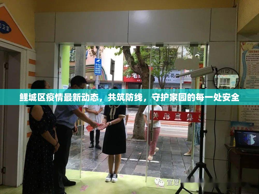 鯉城區(qū)疫情最新動態(tài)，共筑防線，守護(hù)家園的每一處安全