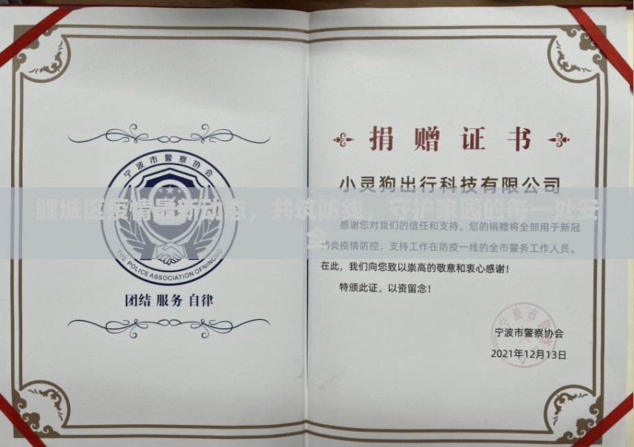 鯉城區(qū)疫情最新動態(tài)，共筑防線，守護(hù)家園的每一處安全