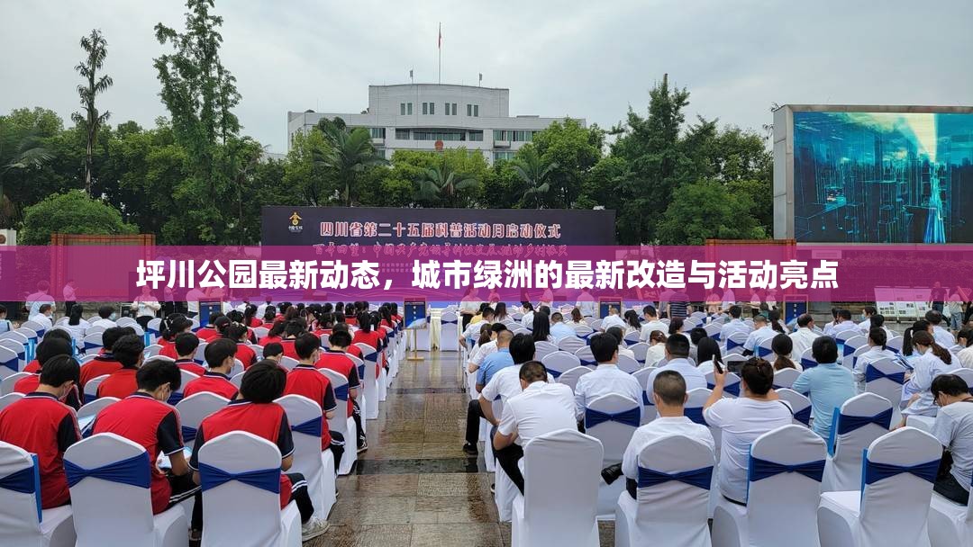 坪川公園最新動(dòng)態(tài)，城市綠洲的最新改造與活動(dòng)亮點(diǎn)