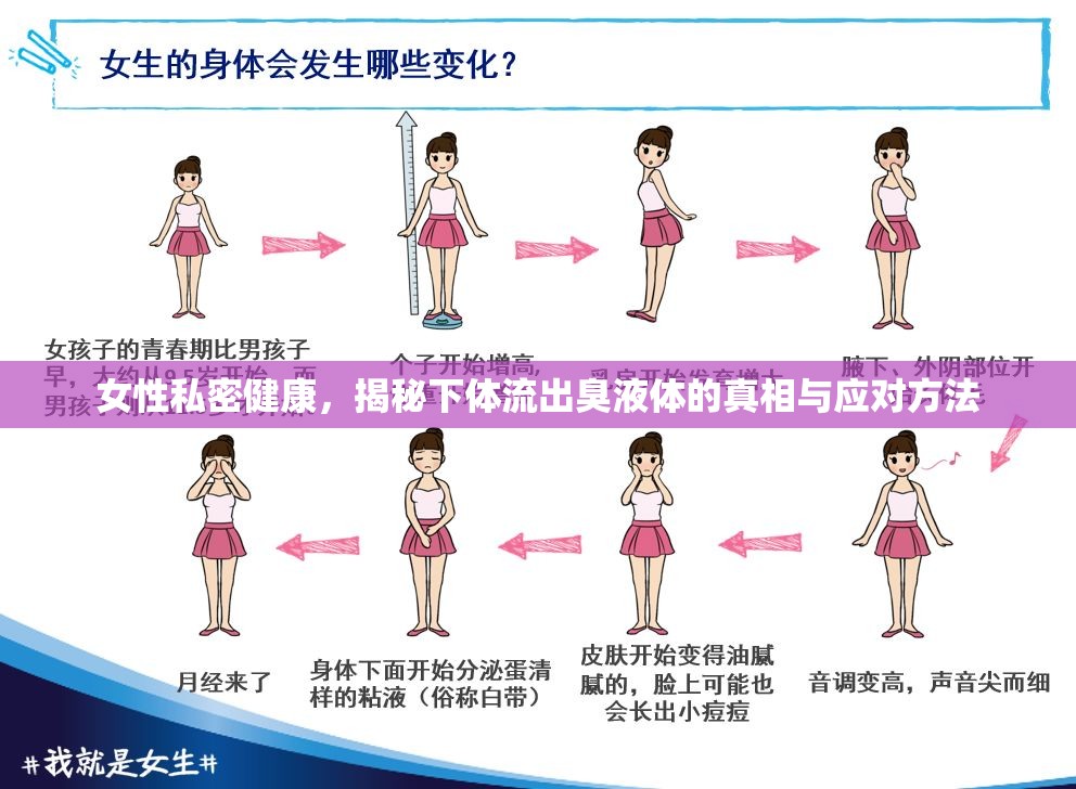 女性私密健康，揭秘下體流出臭液體的真相與應對方法