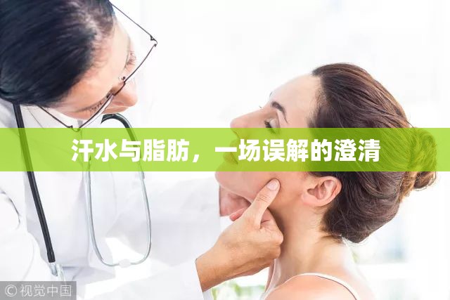 汗水與脂肪，一場(chǎng)誤解的澄清