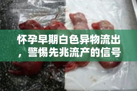 懷孕早期白色異物流出，警惕先兆流產的信號