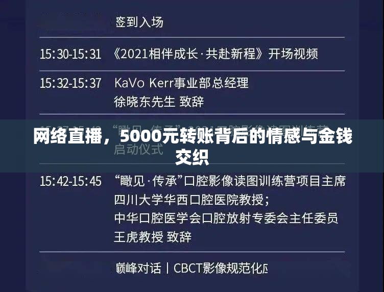 網(wǎng)絡(luò)直播，5000元轉(zhuǎn)賬背后的情感與金錢(qián)交織