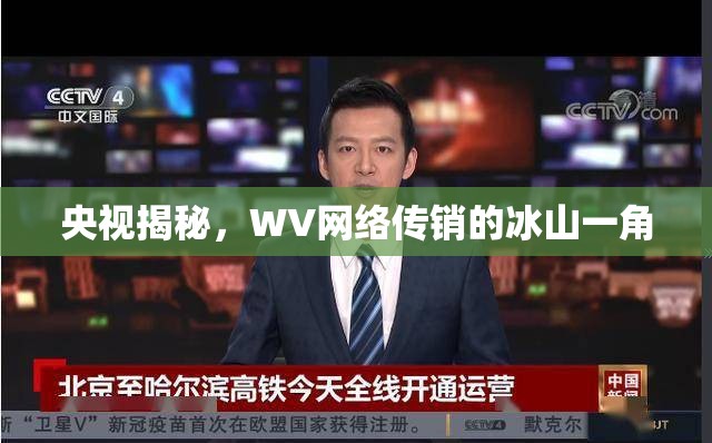 央視揭秘，WV網(wǎng)絡傳銷的冰山一角