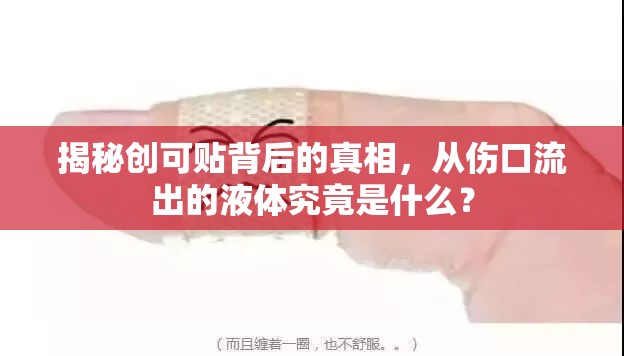 揭秘創(chuàng)可貼背后的真相，從傷口流出的液體究竟是什么？