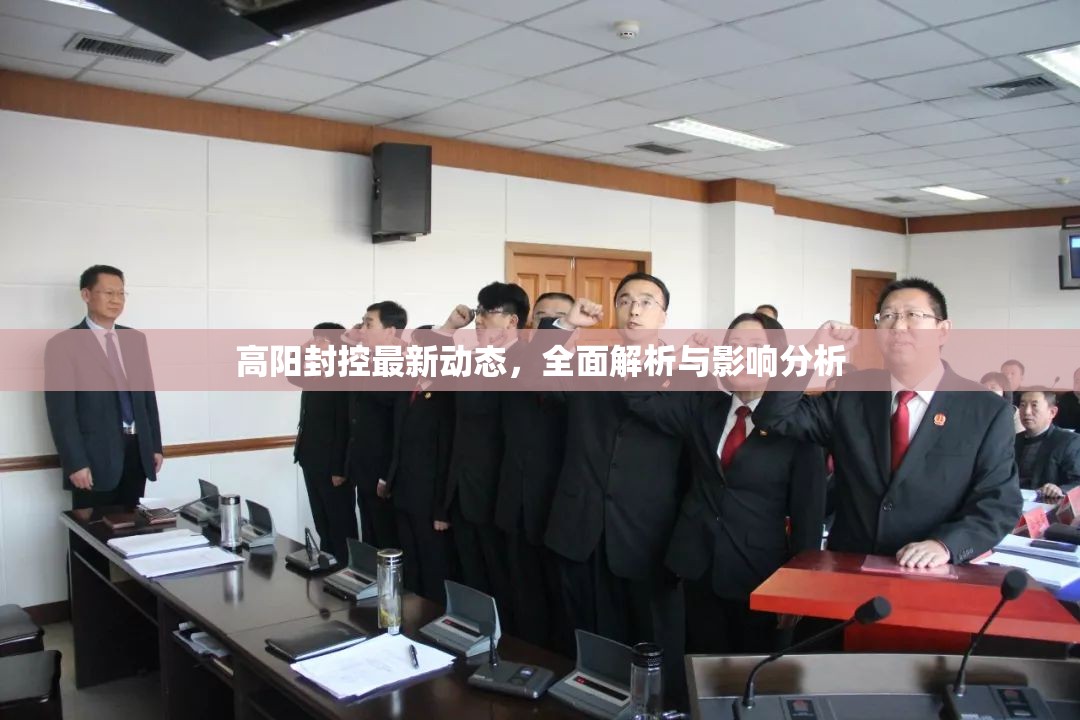高陽封控最新動(dòng)態(tài)，全面解析與影響分析