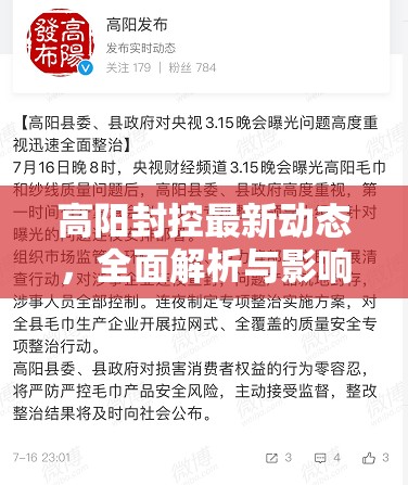 高陽封控最新動(dòng)態(tài)，全面解析與影響分析