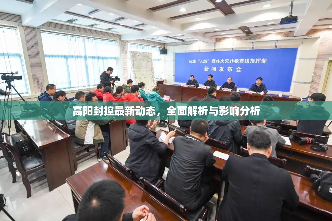 高陽封控最新動(dòng)態(tài)，全面解析與影響分析