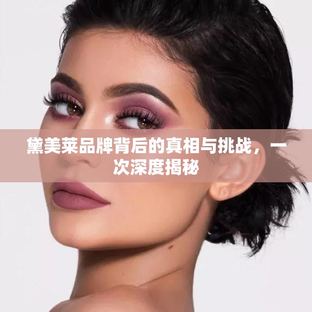 黛美萊品牌背后的真相與挑戰(zhàn)，一次深度揭秘