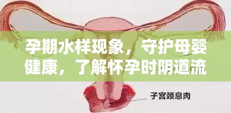 孕期水樣現(xiàn)象，守護母嬰健康，了解懷孕時陰道流液