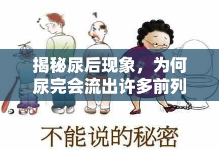 揭秘尿后現(xiàn)象，為何尿完會流出許多前列腺液？
