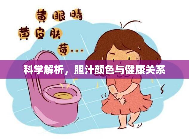 科學(xué)解析，膽汁顏色與健康關(guān)系
