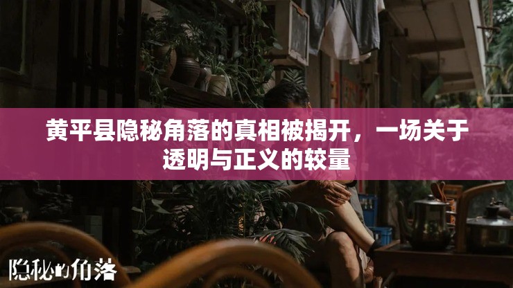 黃平縣隱秘角落的真相被揭開，一場關于透明與正義的較量
