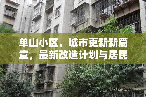 單山小區(qū)，城市更新新篇章，最新改造計劃與居民生活變革