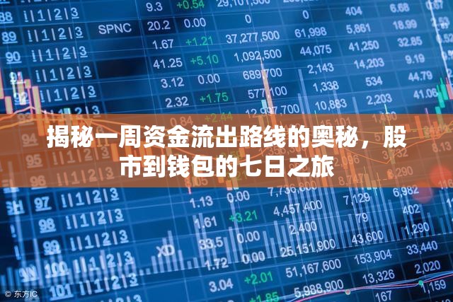 揭秘一周資金流出路線的奧秘，股市到錢包的七日之旅