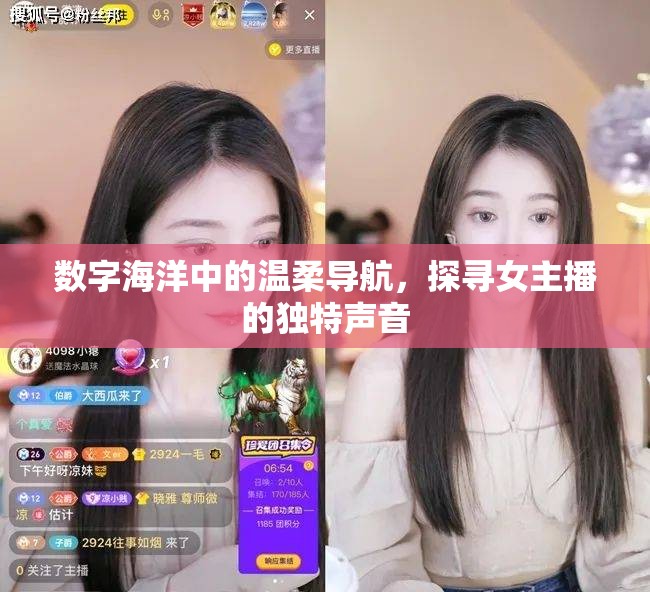 數(shù)字海洋中的溫柔導(dǎo)航，探尋女主播的獨特聲音
