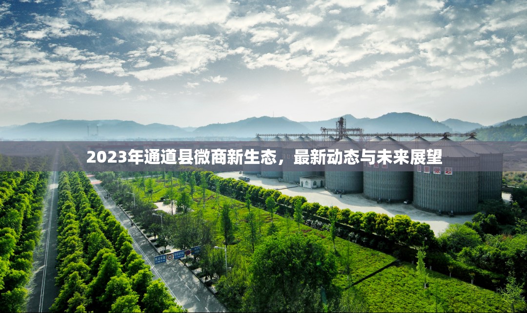 2023年通道縣微商新生態(tài)，最新動態(tài)與未來展望