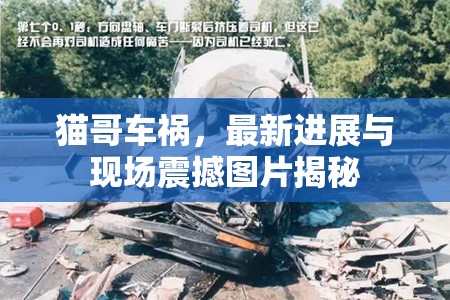 貓哥車(chē)禍，最新進(jìn)展與現(xiàn)場(chǎng)震撼圖片揭秘