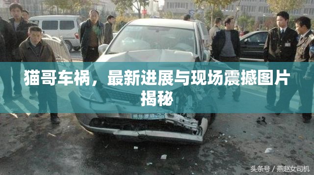 貓哥車(chē)禍，最新進(jìn)展與現(xiàn)場(chǎng)震撼圖片揭秘