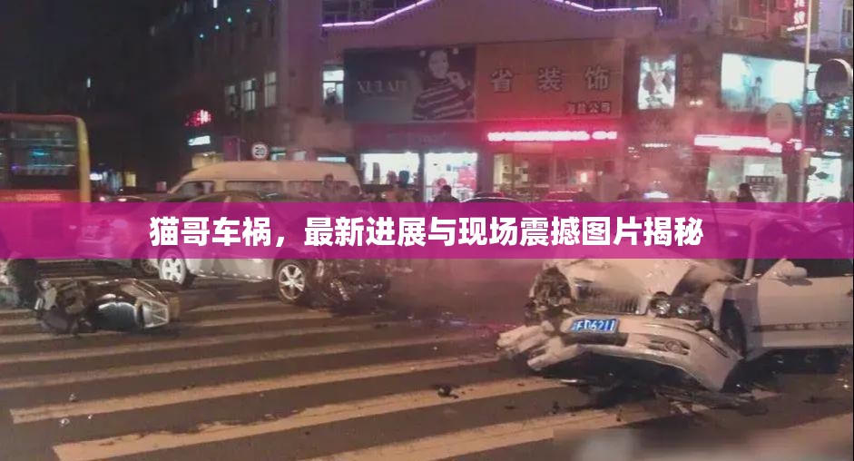貓哥車(chē)禍，最新進(jìn)展與現(xiàn)場(chǎng)震撼圖片揭秘