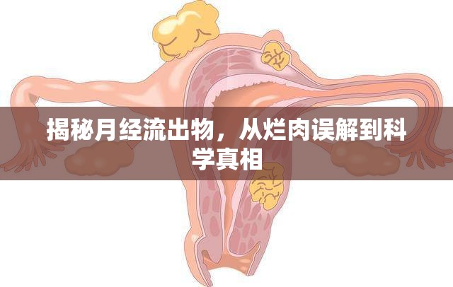 揭秘月經(jīng)流出物，從爛肉誤解到科學(xué)真相