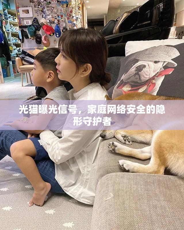 光貓曝光信號(hào)，家庭網(wǎng)絡(luò)安全的隱形守護(hù)者