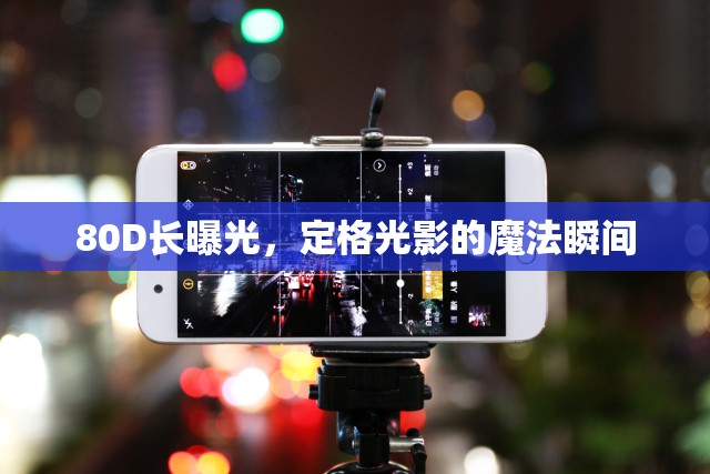 80D長曝光，定格光影的魔法瞬間