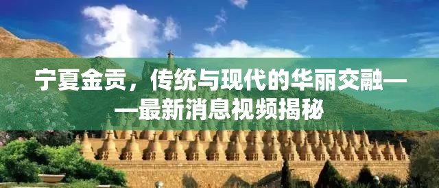 寧夏金貢，傳統(tǒng)與現(xiàn)代的華麗交融——最新消息視頻揭秘