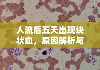 人流后五天出現(xiàn)塊狀血，原因解析與應(yīng)對(duì)措施