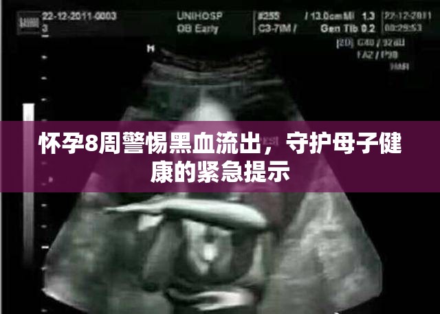 懷孕8周警惕黑血流出，守護(hù)母子健康的緊急提示