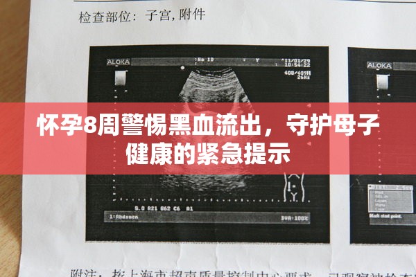 懷孕8周警惕黑血流出，守護(hù)母子健康的緊急提示