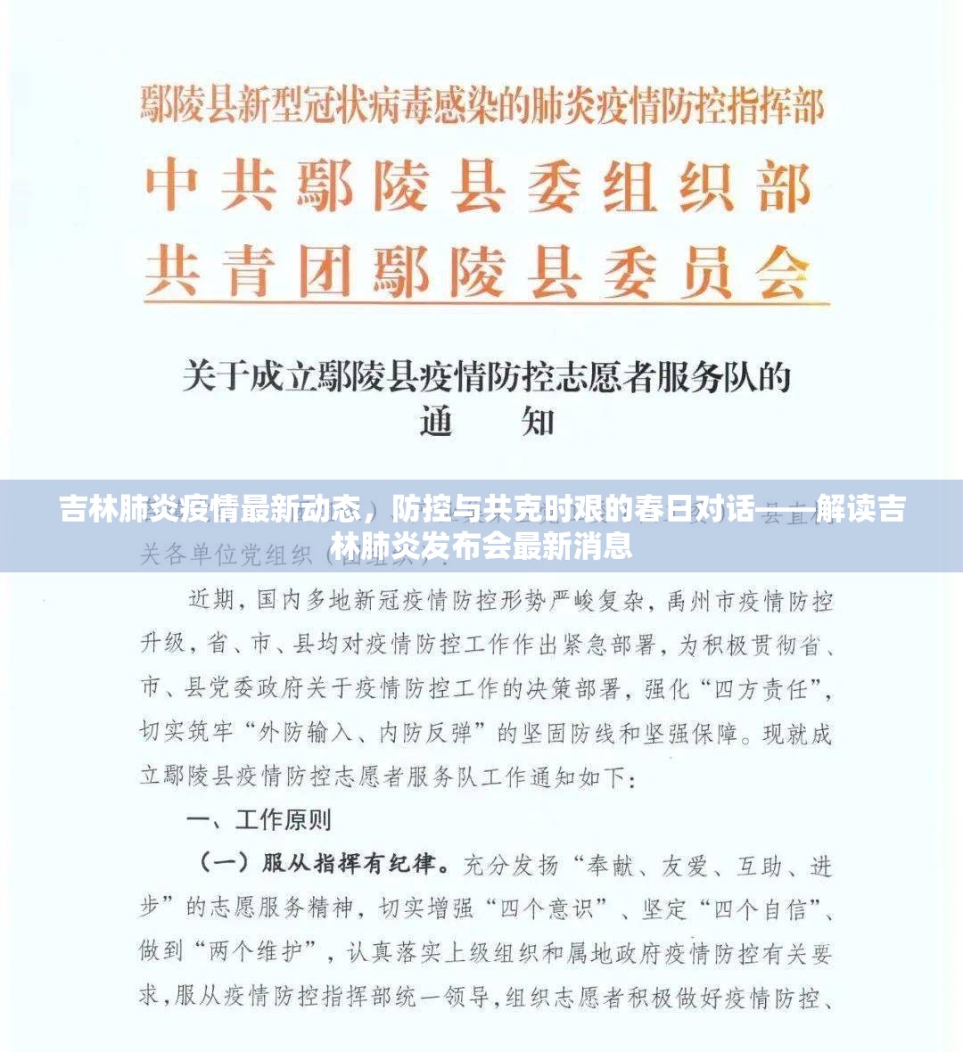 吉林肺炎疫情最新動(dòng)態(tài)，防控與共克時(shí)艱的春日對(duì)話——解讀吉林肺炎發(fā)布會(huì)最新消息