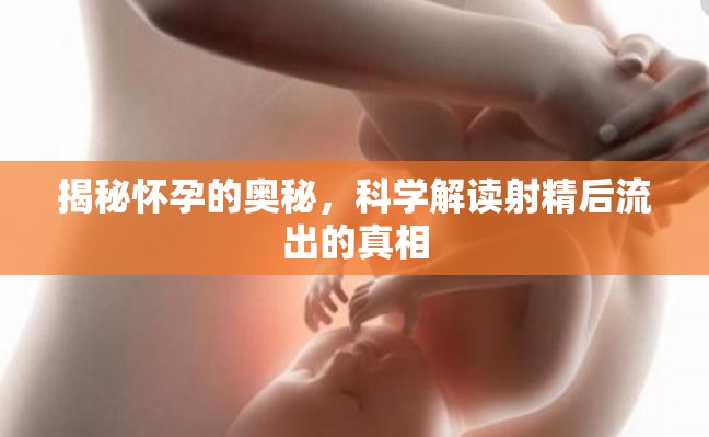 揭秘懷孕的奧秘，科學(xué)解讀射精后流出的真相